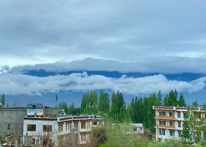 Family Hotel: Hotel Palam Hills